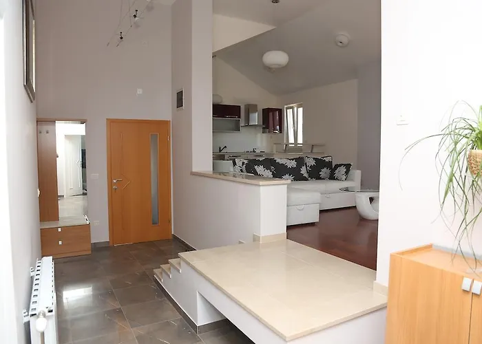 Markorcula * Korčula